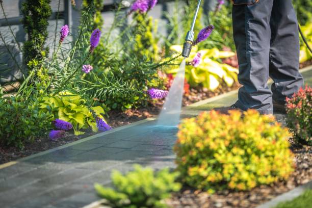 Best Brick and Stone Cleaning in Rayne, LA