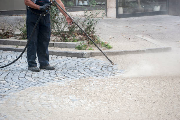 Best Fence Cleaning and Maintenance in Rayne, LA